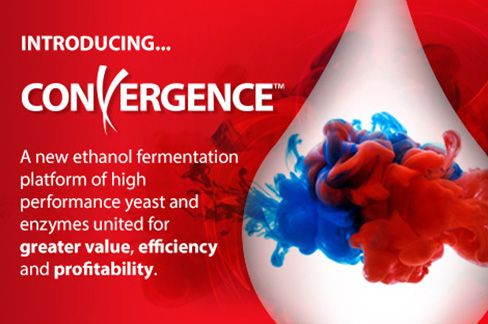 Introducing Convergence
